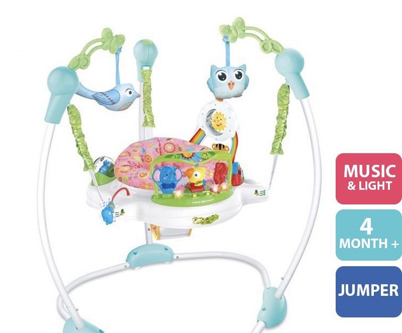 4 month jumperoo online