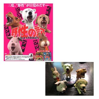 （分類：）位於 。 由 c_9065289 提交（商品編號 1209064961，圖片 1）。簡介： 。