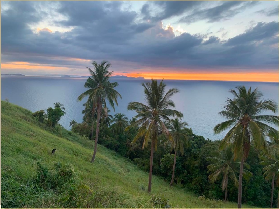 For Sale Beachfront San Vicente Palawan Lot 4.5Ha, Property, For Sale