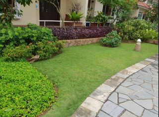 (Category: ) located in . Submitted by cheaplandscape (Listing ID 1209026969, Image 1). Description: .