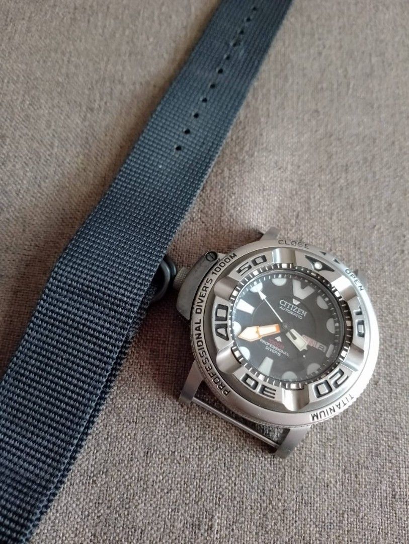 Citizen ecozilla 2025 1000m
