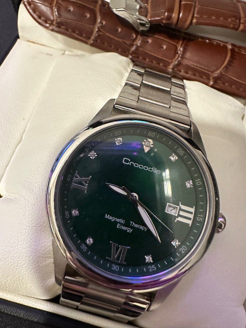 Crocodile Watch