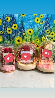 Customized Valentine’s day Preserved LED Flower Globe