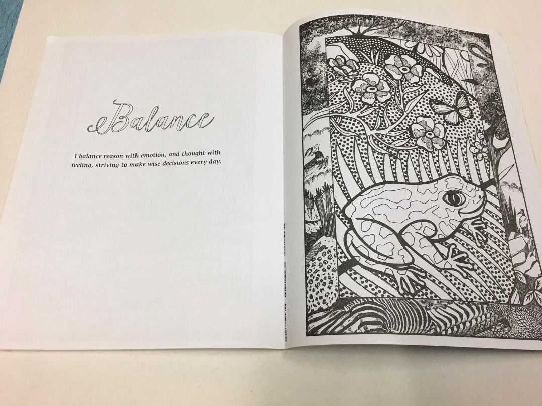 Enchanted Worlds Coloring Book, Hobbies & Toys, Books & Magazines ...