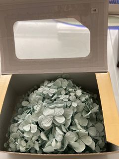 （分類：）位於 。 由 hellopinklady 提交（商品編號 1208998166，圖片 1）。簡介： 。