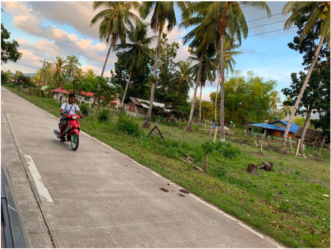 For Sale Agricultural lot in San Vicente, Palawan for only P6K/sqm