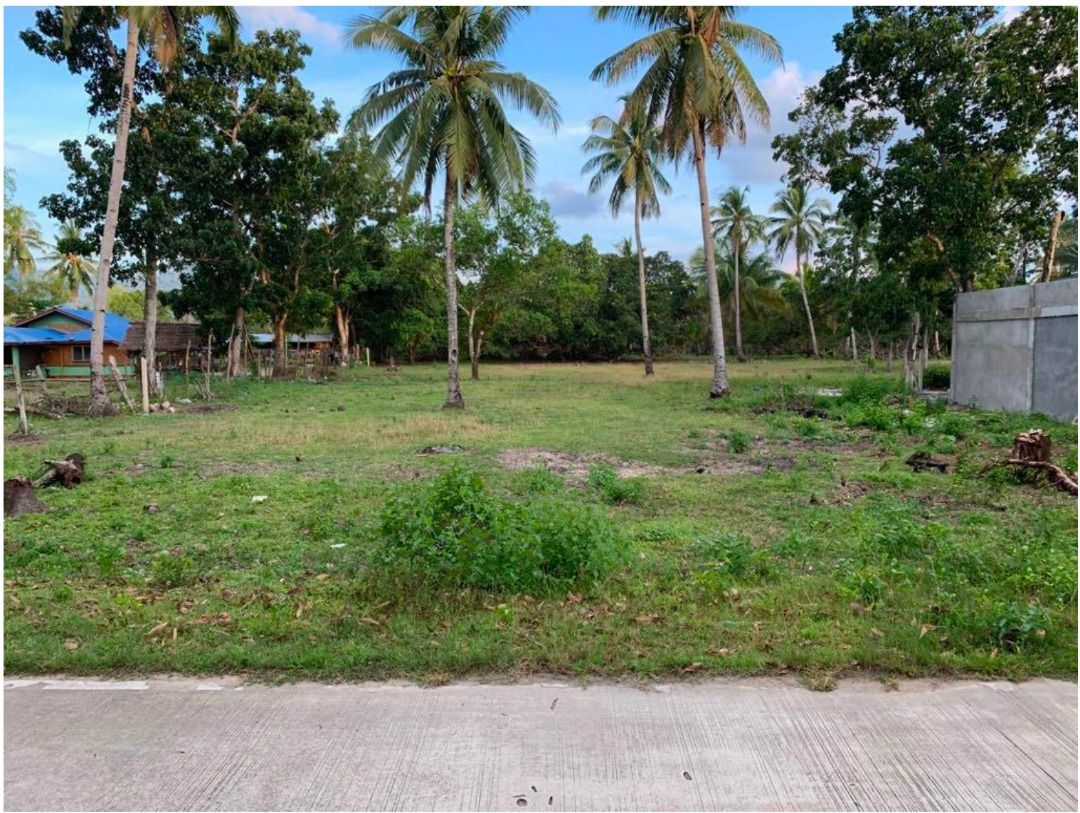 For Sale Agricultural lot in San Vicente Palawan, Property, For Sale
