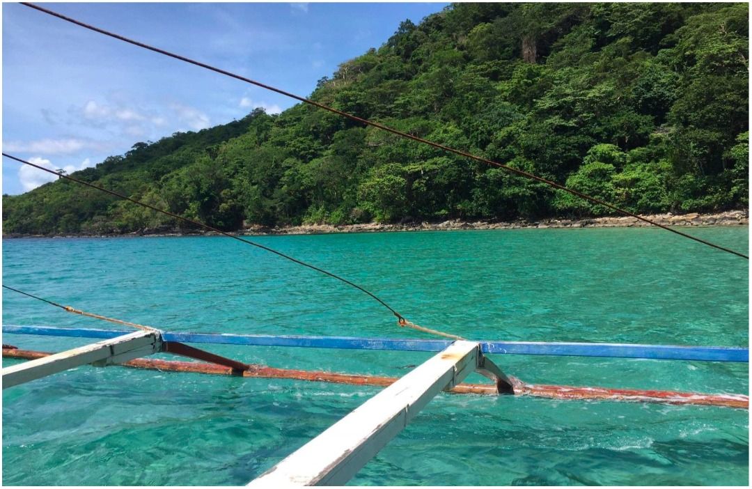 For Sale Beach front Forest land in San Vicente Palawan, Property, For