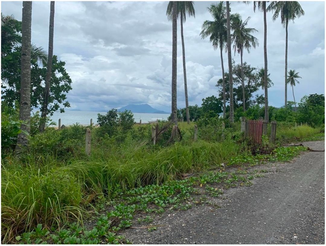 For Sale Beach Lot in San Vicente Palawan for P13K/sqm, Property, For