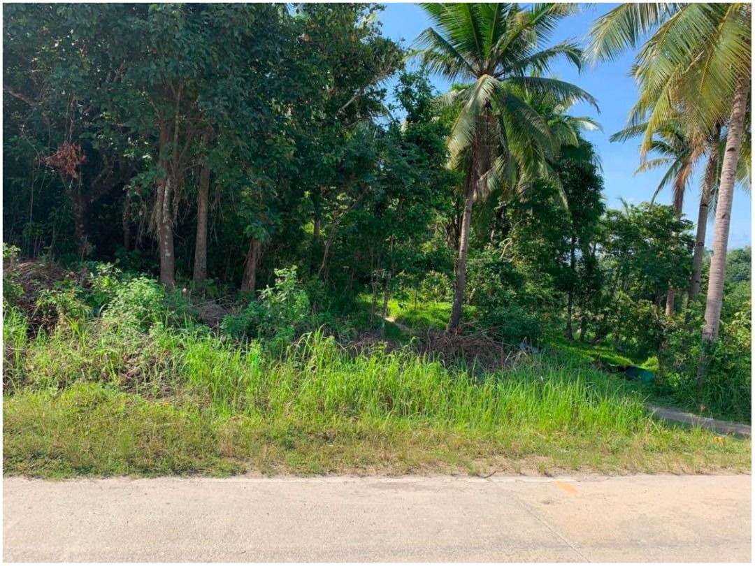 For Sale Commercial lot in San Vicente Palawan, Property, For Sale