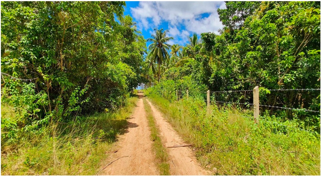 For Sale Commercial lot in San Vicente Palawan, Property, For Sale