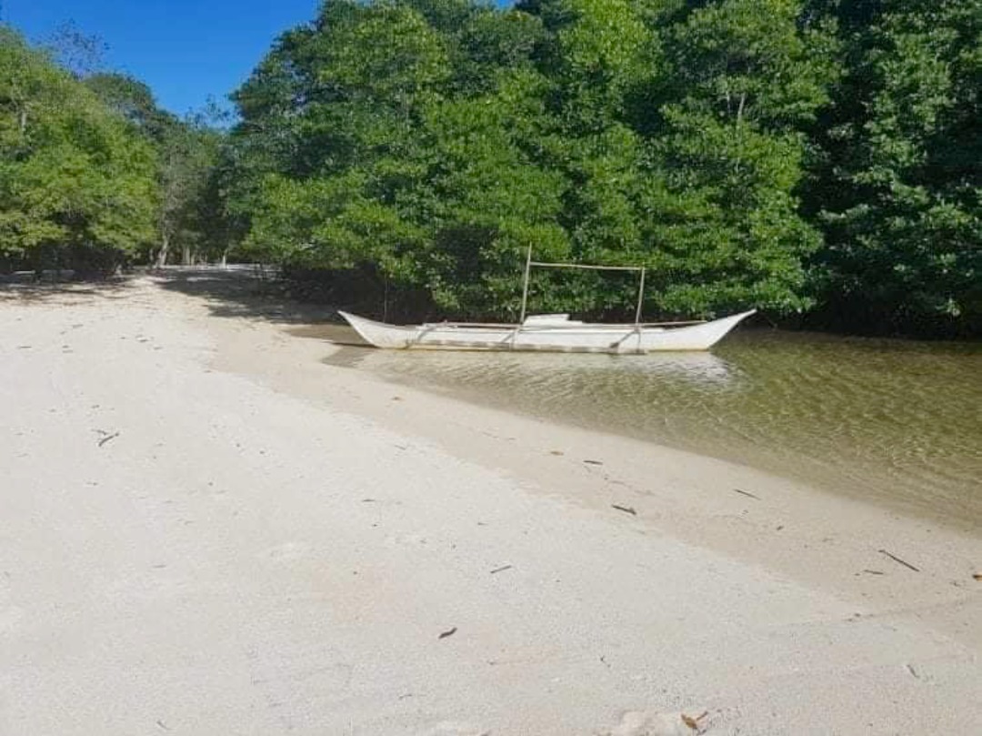 For Sale Island Part Coron Palawan, 3.8has, Property, For Sale, Lot on