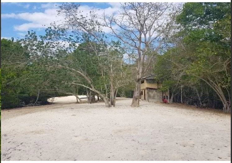 For Sale Island Part Coron Palawan, 3.8has, Property, For Sale, Lot on