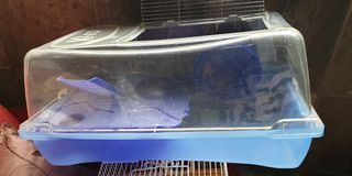 (Category: ) located in . Submitted by hamitaf2wheeler (Listing ID 1208965415, Image 1). Description: .