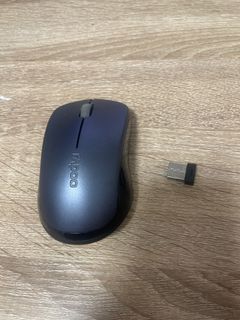 Wireless mouse440031331987630080