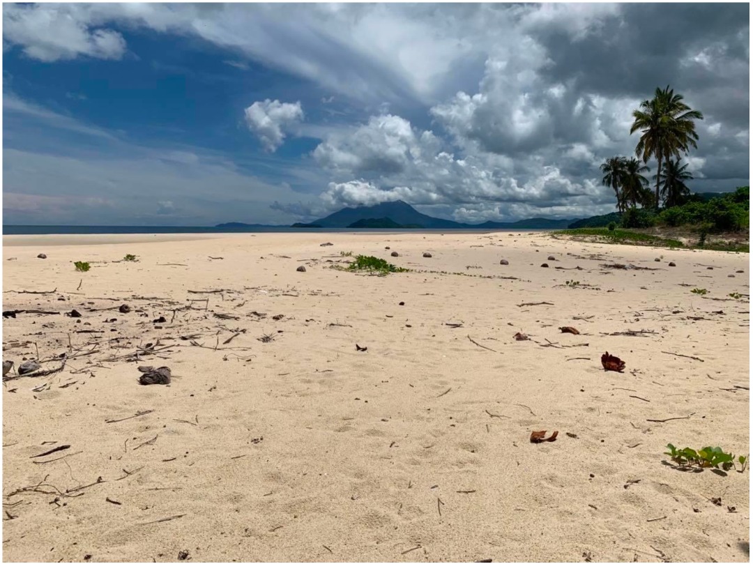 For Sale Alimanguan San Vicente Palawan Beachfront Property, Property