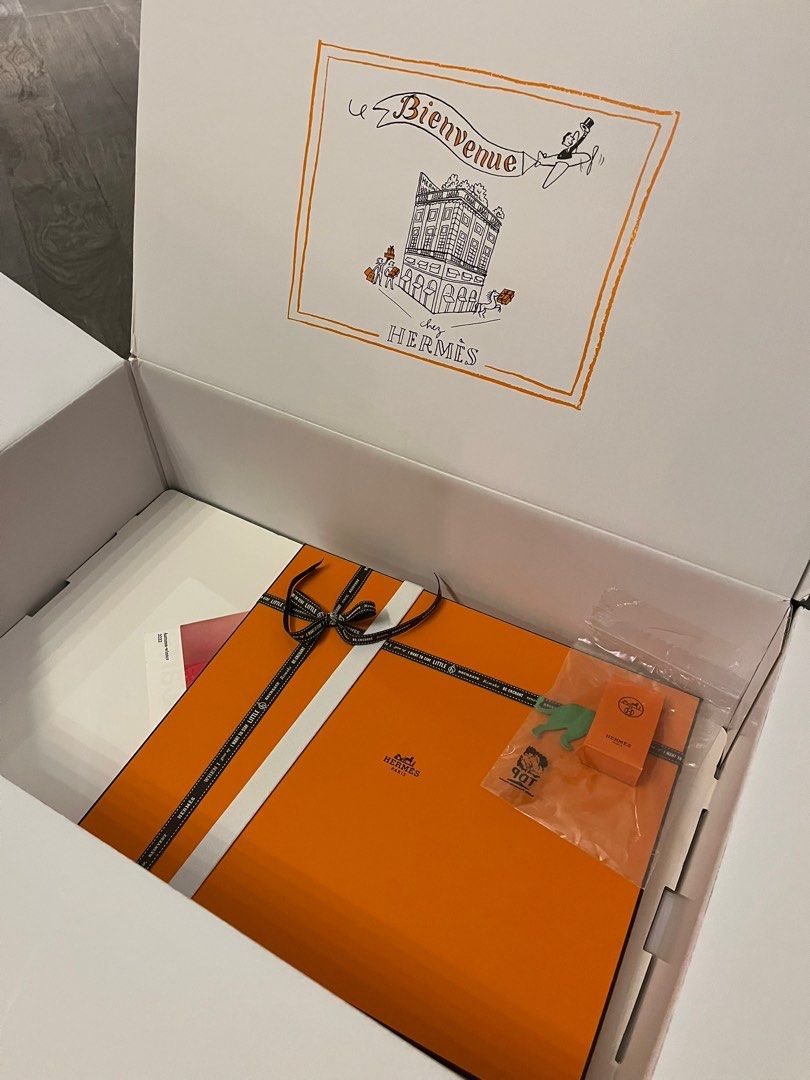 Whole set hermes silk tote 2023 new style with receipt, 名牌, 手袋及銀包