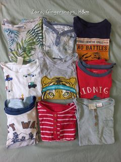 Zara Gingersnaps H&M kids shirt take all