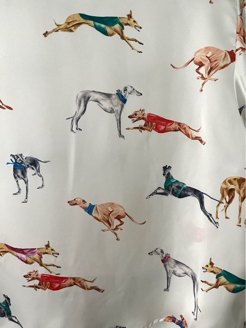 zara whippet shirt