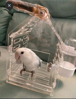 (Category: ) located in . Submitted by 3900charlie (Listing ID 1209195730, Image 1). Description: .