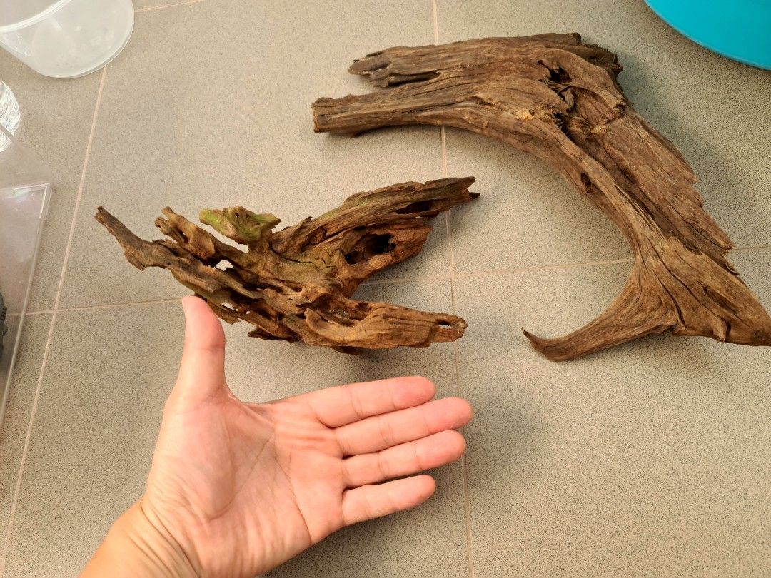 Aquarium Drift wood (18 for 2), tank, decor, terrarium, fish, turtle