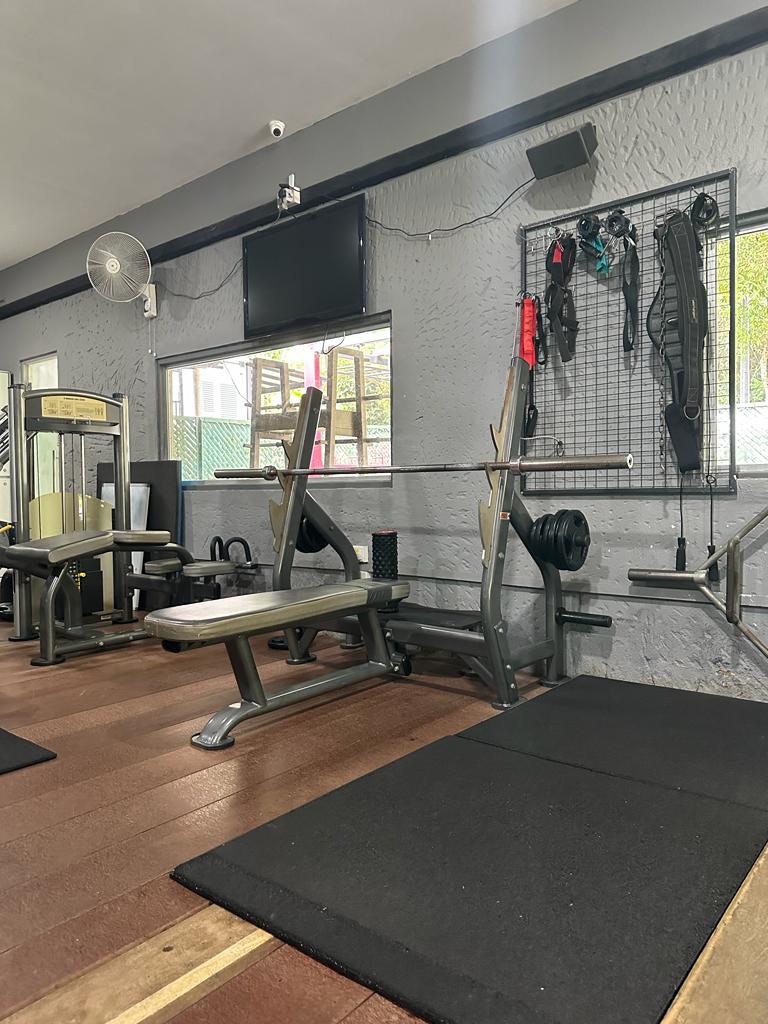 Flat Bench Chest Press Rack with Spotter Stand, Sports Equipment ...