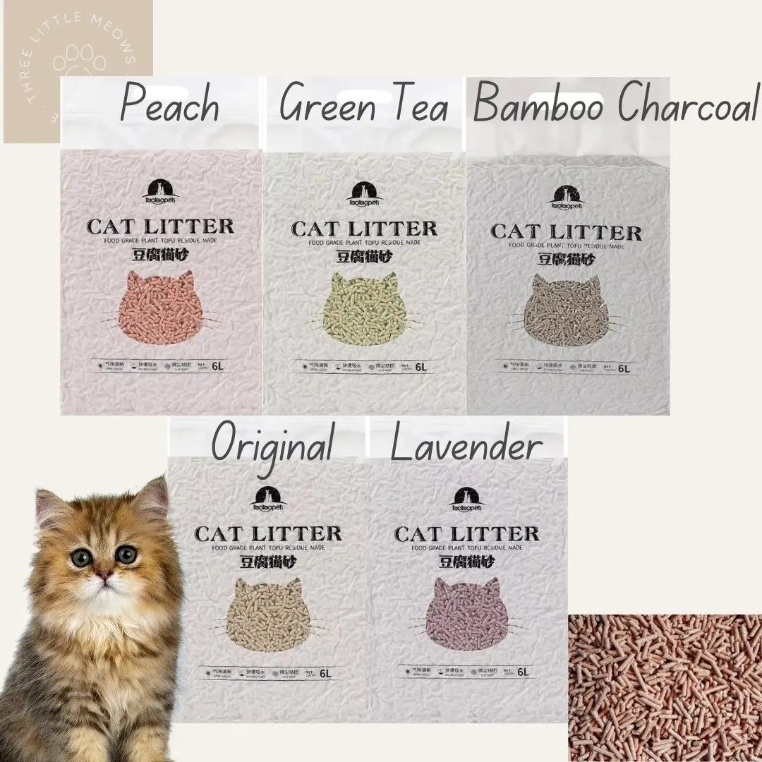 Cat litter shop next day delivery