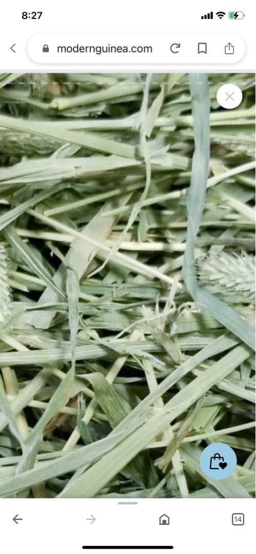 Fresh timothy hay for rabbits guinea pigs chinchillas gerbils, Pet