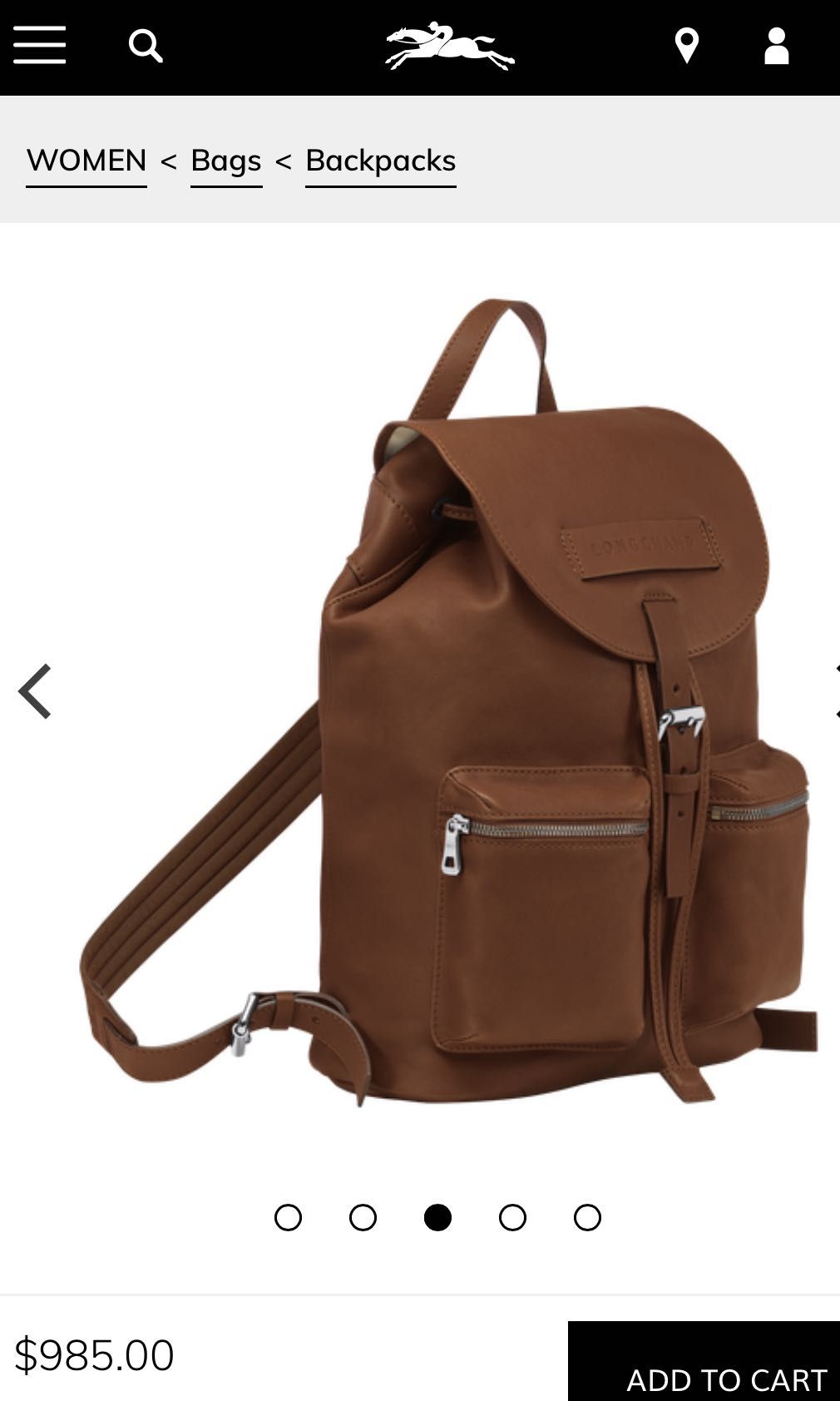 Longchamp 3d backpack m shop