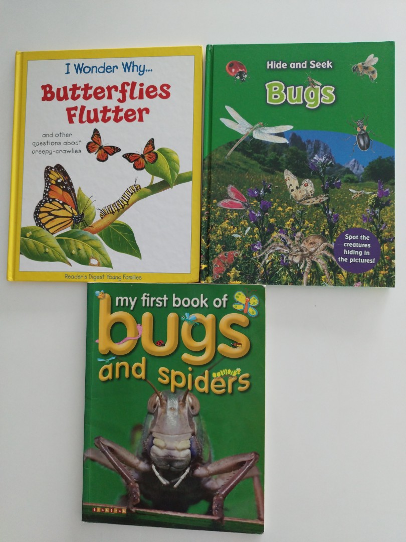 Preloved bugs creepy crawlies butterfly spiders, Hobbies & Toys