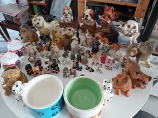 All abt dogs