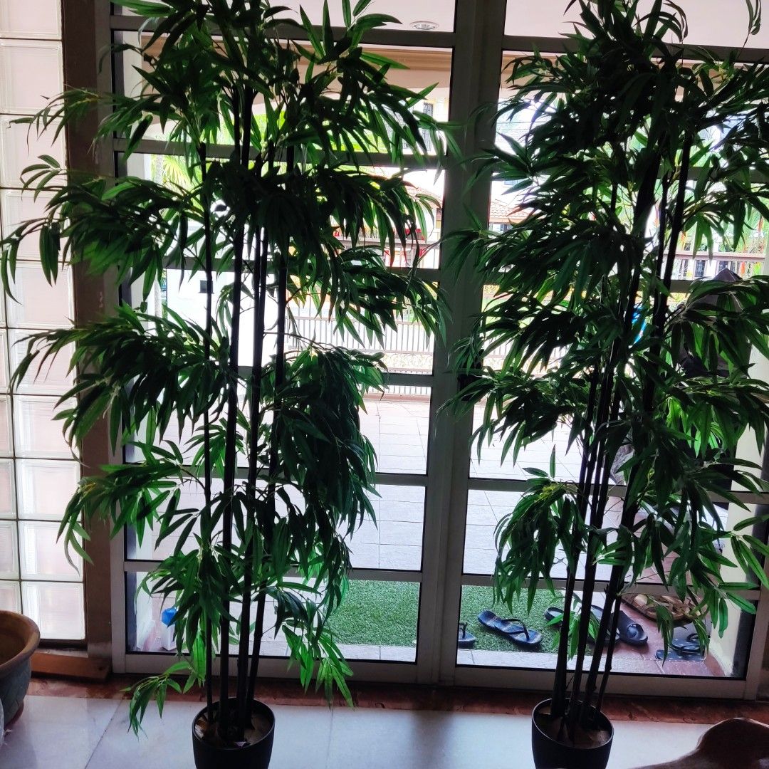 Artificial bamboo plants with lights, Furniture & Home Living, Home