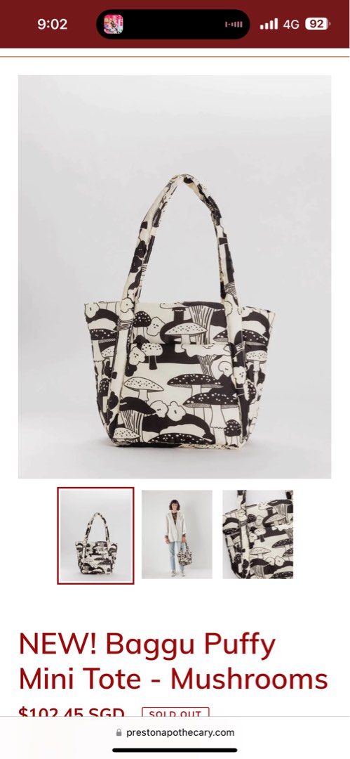 Baggu mushroom bag 2025