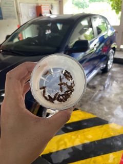 Car Fumigation and steaming service