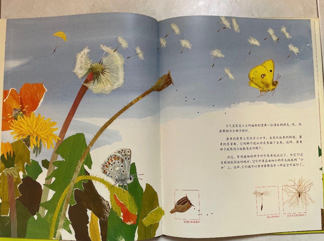 Chinese children story books hobbies toys books magazines