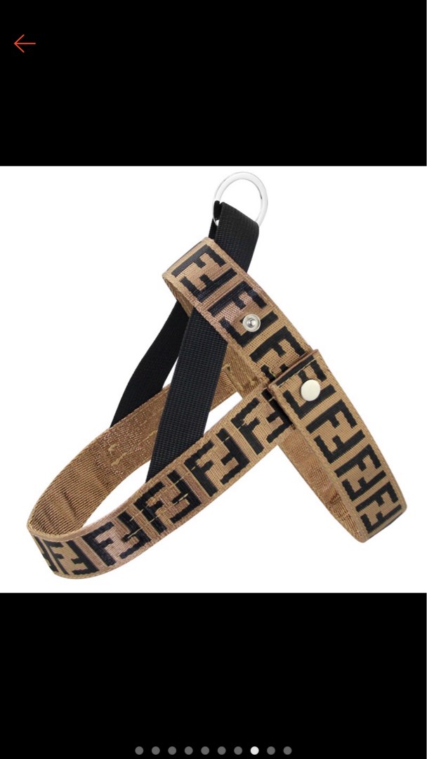 Dog Harness (Fendi style stylish harness), Pet Supplies, Homes & Other