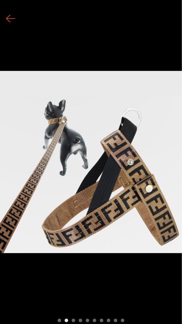 Fendi dog lead and collar clearance