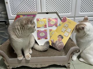 （分類：）位於 。 由 zoechingcc 提交（商品編號 1209346548，圖片 1）。簡介： 。