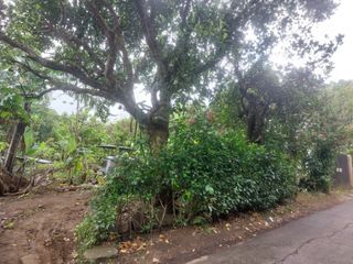 Farm lot at Tagaytay City