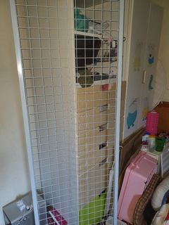 (Category: ) located in . Submitted by kkdoglover (Listing ID 1209318472, Image 1). Description: .