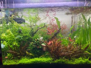 (Category: ) located in . Submitted by luckyttq (Listing ID 1209332491, Image 1). Description: .
