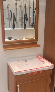 Lavatory cabinet with mirror