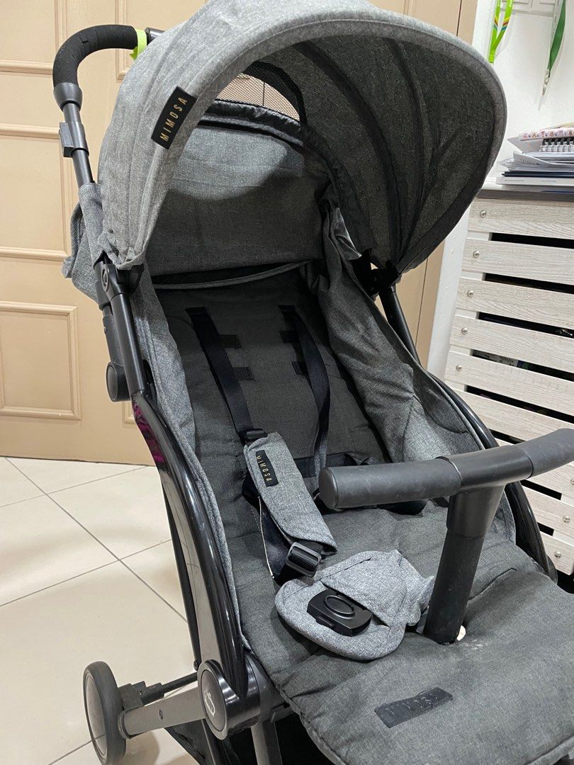 Mimosa discount globetrotter plus
