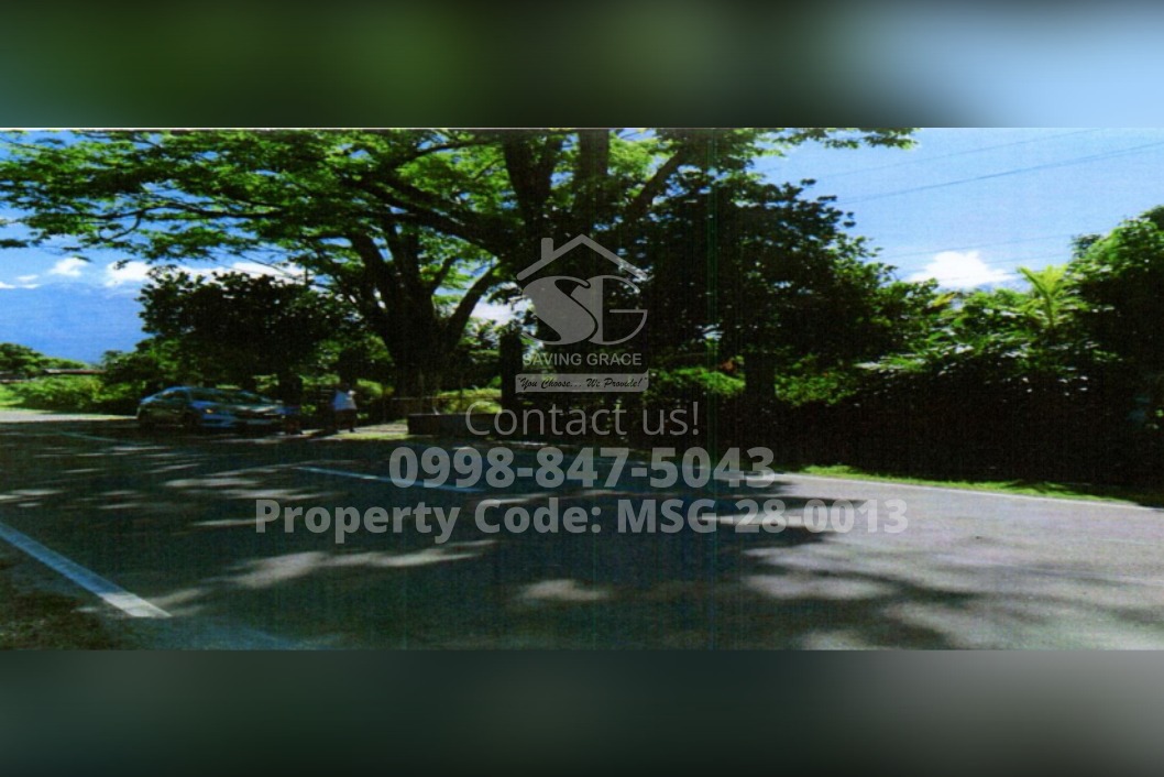 MSG280013 Brgy. Carolinam, Naga City, Camarines Sur FORECLOSED