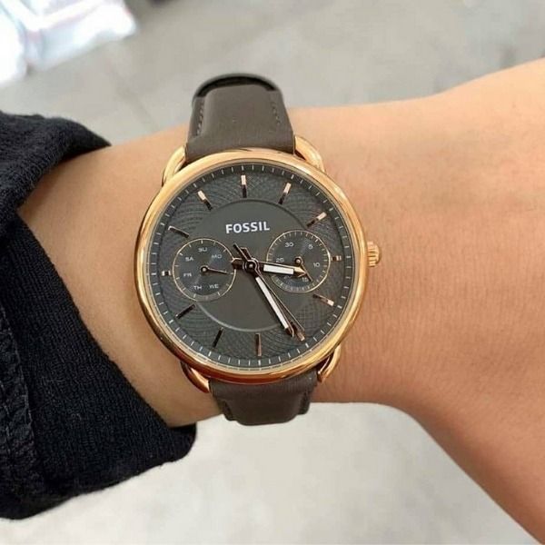 Es3913 fossil outlet