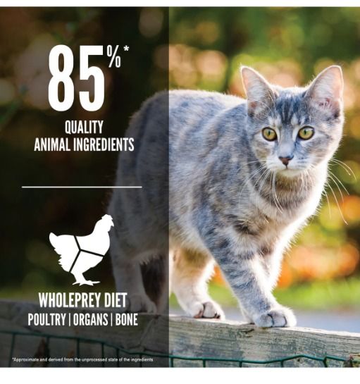 ORIJEN CAT KITTEN 5.4kg Pet Supplies Pet Food on Carousell