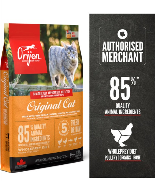 Orijen cat best sale & kitten