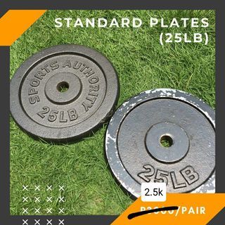 SALE! 25-lb Standard Plates (2pcs) gym equipment