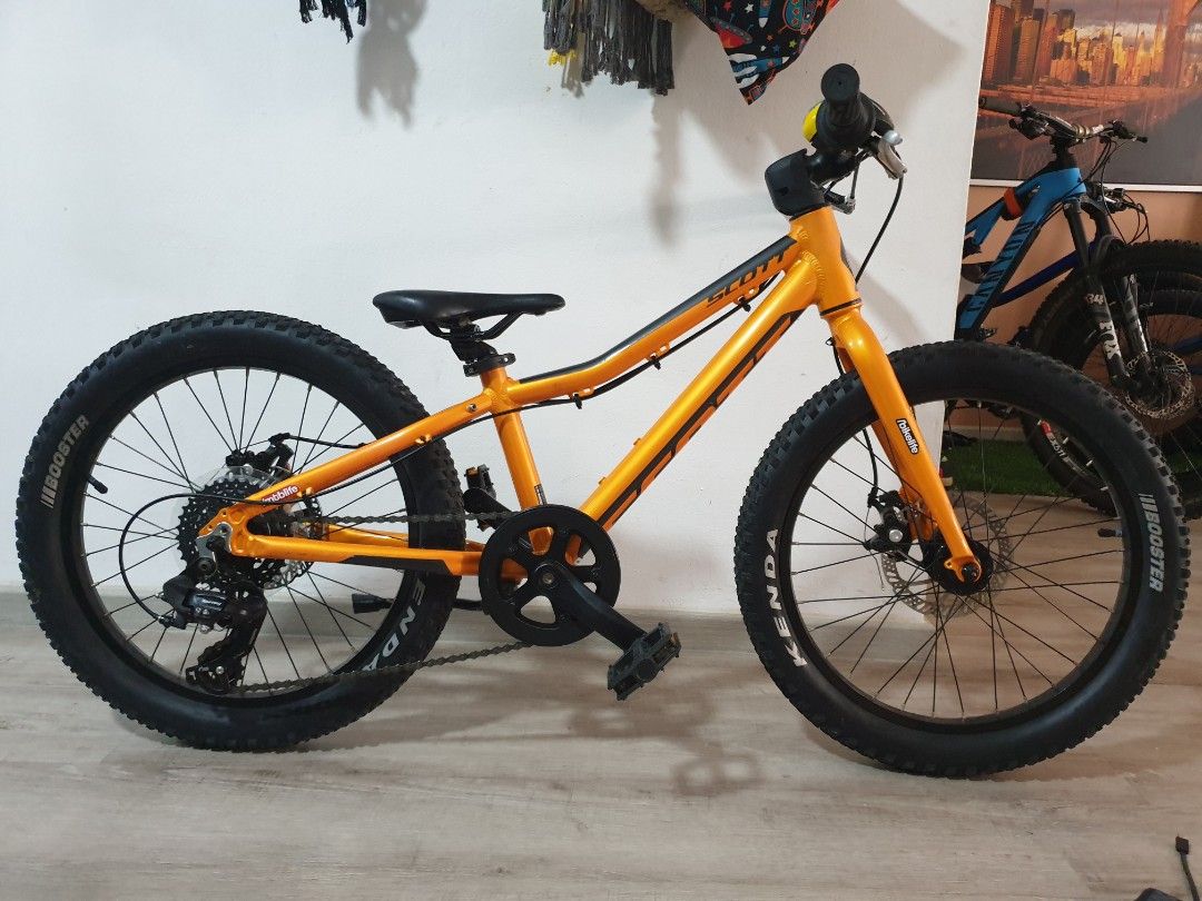 Scott scale top 20 inch