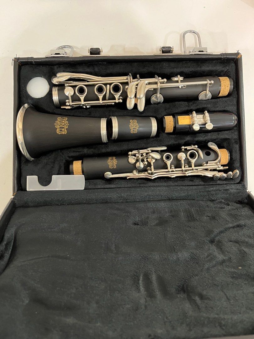 from Stadler, Hobbies & Toys, Music & Media, Musical